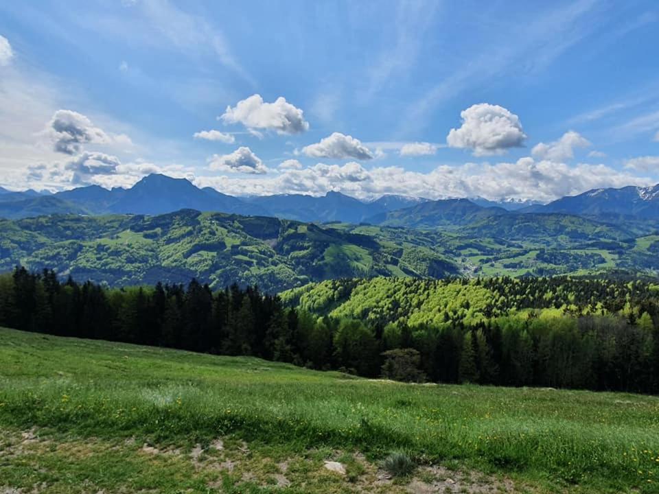 Holzhaus "Zum Schwarz'N" Daire Aurach am Hongar Dış mekan fotoğraf