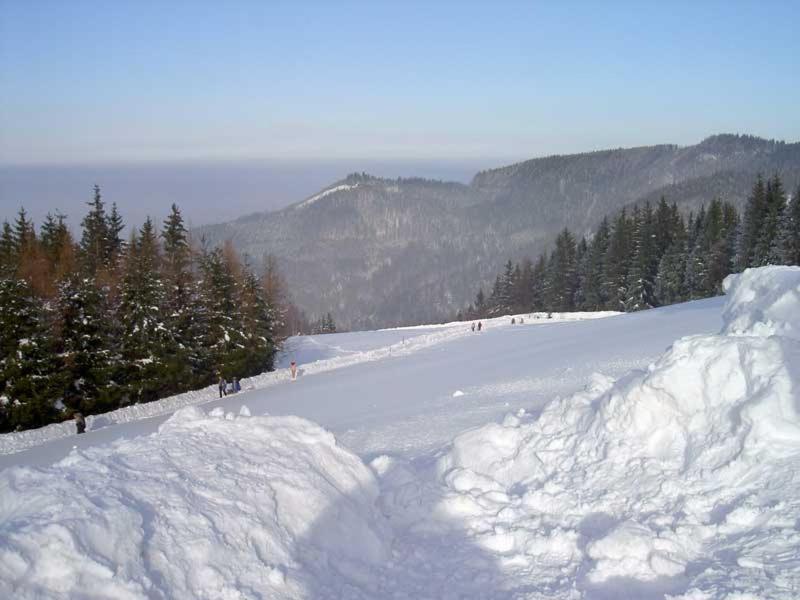 Holzhaus "Zum Schwarz'N" Daire Aurach am Hongar Dış mekan fotoğraf