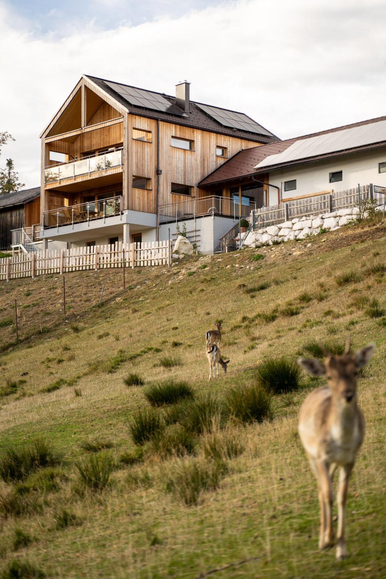 Holzhaus "Zum Schwarz'N" Daire Aurach am Hongar Dış mekan fotoğraf